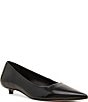 Steve Madden Ardyn Leather Pointed Toe Kitten Heel Pumps - Image 1