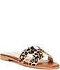 Color:Leopard - Image 1 - Hadyn-L Leopard Print Haircalf Flat Sandals