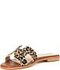 Color:Leopard - Image 4 - Hadyn-L Leopard Print Haircalf Flat Sandals