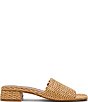 Steve Madden Montgomery Raffia Slide Sandals - Image 2