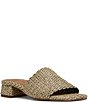 Steve Madden Montgomery Raffia Slide Sandals - Image 1