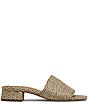 Steve Madden Montgomery Raffia Slide Sandals - Image 3