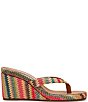 Steve Madden Playing Multicolor Raffia Wedge Thong Sandals - Image 2