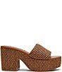 Steve Madden Trippy Raffia Platform Block Heel Slide Sandals - Image 2