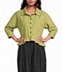 Sugarlips Marinela Woven Stripe Print Collared Half Sleeve Ruffle Hem Button Front Top - Image 1