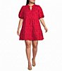 Sugarlips Plus Size Jacey Floral Jacquard Split V-Neck Short Sleeve Tiered Mini Shift Dress - Image 1