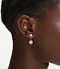 Swarovski Chroma Drop Earrings - Image 5