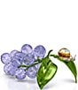 Swarovski undefined, 00000000_zi_20472888 - undefined