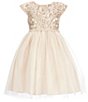 Color:Champagne - Image 1 - Little Girls 2-6 Cap Sleeve Dull Satin Metallic Cord Embroidered Crystal Tulle Dress