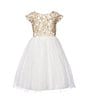 Color:Ivory - Image 1 - Little Girls 2-6 Cap Sleeve Dull Satin Metallic Cord Embroidered Crystal Tulle Dress