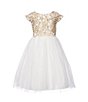 Color:Off-White - Image 1 - Little Girls 2-6 Embroidered/Tulle-Skirted Fit-And-Flare Dress