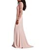 Tadashi Shoji Round Neck Illusion Long Sleeve Asymmetrical Leaf Embroidered Crepe Sheath Gown, Color:Blush - Image 3