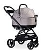 Tavo Pet Maeve Iso 6X Car Seat + Roscoe Stroller Frame Travel System - Image 3