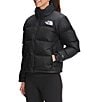 Color:TNF Black - Image 4 - 1996 Retro Nuptse Stand Collar Removable Hood Long Sleeve Down Puffer Jacket