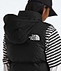 The North Face 1996 Retro Nuptse Boxy Stand Collar Zip Front Down Puffer Vest, Color:TNF Black-R - Image 5