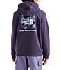 The North Face Big Kids Evolution Box NSE Graphic Pullover Hoodie - Image 1