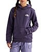 The North Face Big Kids Evolution Box NSE Graphic Pullover Hoodie - Image 2