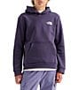 The North Face Big Kids Evolution Box NSE Graphic Pullover Hoodie - Image 3