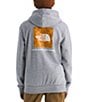 The North Face Big Kids Evolution Box NSE Graphic Pullover Hoodie - Image 3