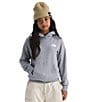 The North Face Big Kids Evolution Box NSE Graphic Pullover Hoodie - Image 5
