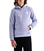 The North Face Big Kids Evolution Box NSE Pullover Hoodie - Image 1