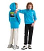 The North Face Big Kids Evolution Box NSE Pullover Hoodie - Image 3