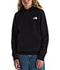 The North Face Big Kids Evolution Box NSE Pullover Hoodie - Image 2