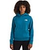 The North Face Big Kids Evolution Box NSE Pullover Hoodie, Color:Dusk Blue - Image 3