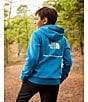 The North Face Big Kids Evolution Box NSE Pullover Hoodie - Image 5