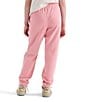 The North Face Big Kids Evolution EMB Jogger Pants - Image 3