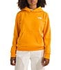 The North Face Big Kids Evolution EMB Pullover Hoodie, Color:Summit Gold - Image 1