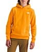 The North Face Big Kids Evolution EMB Pullover Hoodie, Color:Summit Gold - Image 3