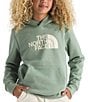 The North Face Big Kids Evolution Half Dome Pullover Hoodie, Color:Slate Moss - Image 1