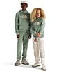 The North Face Big Kids Evolution Half Dome Pullover Hoodie - Image 4
