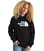 The North Face Big Kids Evolution Half Dome Pullover Hoodie, Color:TNF Black - Image 3