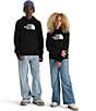 The North Face Big Kids Evolution Half Dome Pullover Hoodie, Color:TNF Black - Image 4