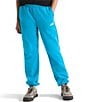 The North Face Big Kids Evolution Simple Dome Pants - Image 1