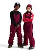 The North Face Big Kids Freedom Insulated Bib - Image 5