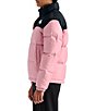 The North Face Big Kids Nupste Jacket - Image 3
