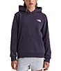 The North Face Big Kids Teen Evolution Simple Dome Pullover Hoodie - Image 5
