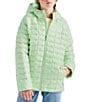 The North Face Big Kids ThermoBall™ Hooded Jacket - Image 1