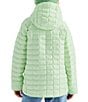 The North Face Big Kids ThermoBall™ Hooded Jacket - Image 2