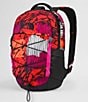 Color:Fiery Red Abstract Yosemite Print/TNF Black/Mr. Pink - Image 3 - Borealis Fiery Red Abstract Yosemite Printed 10L Mini Backpack