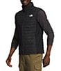 Color:TNF Black - Image 3 - Canyonlands Hybrid Vest