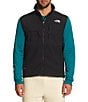Color:TNF Black - Image 1 - Denali Sleeveless Solid Polartec® Fleece Vest