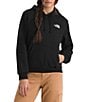 The North Face Evolution Box Crew Neck Long Sleeve Pullover Hoodie - Image 4