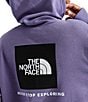 The North Face Evolution Box Crew Neck Long Sleeve Pullover Hoodie - Image 3