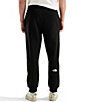 The North Face Evolution Box Half Dome Tapered Joggers - Image 2