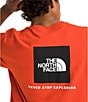 The North Face Evolution Box Never Stop Exploring Short Sleeve T-Shirt - Image 3