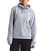 The North Face Evolution Box NSE Fill Light Graphic Print Pullover Hoodie, Color:Blue Flax - Image 1